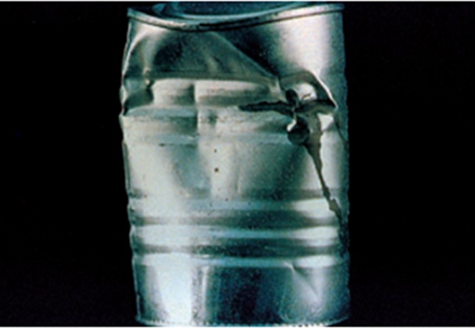 Tại sao đóng hộp không bảo quản được thực phẩm mãi mãi?