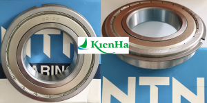 Bạc đạn phe gài 2