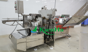 MÁY CẮT CÁ  (MÁY ĐÓNG HỘP CÁ NGỪ)