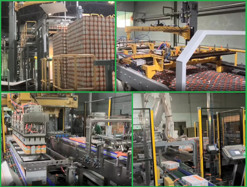 Dây chuyền xếp lon/chai vào thùng tự động